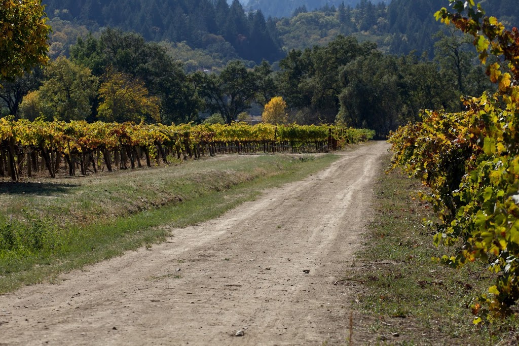 Exploring California Wine Country in St. Helena