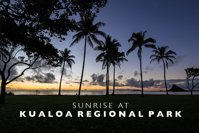 sunrise at Kuala Regional Park Hawaii