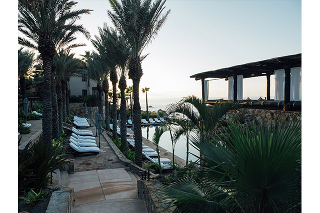 Esperanza Resort Los Cabos pool palm trees