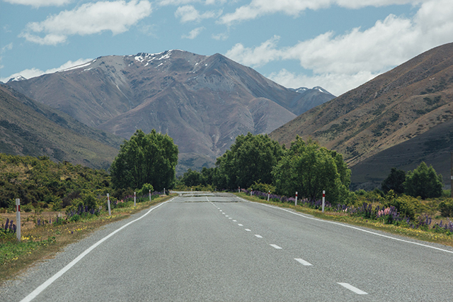 driving New Zealand south island 