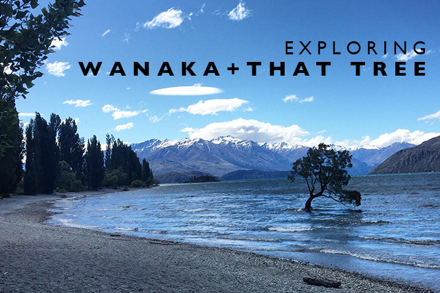 exploring Wanaka 