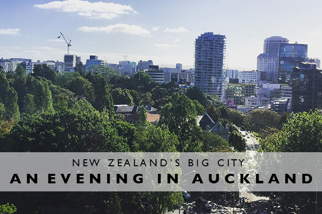 an evening in Auckland