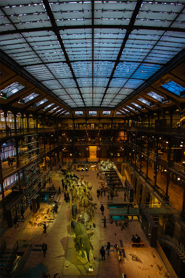 Natural History Museum in Paris interior