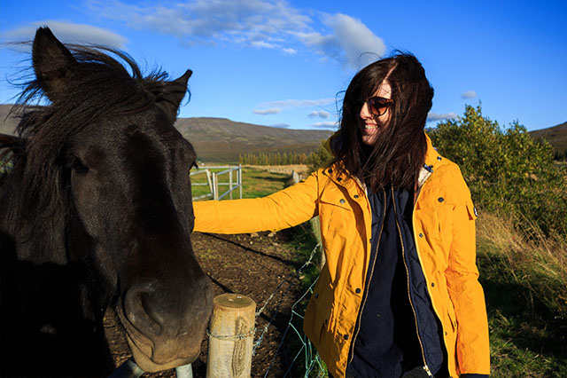stopping for horses in Iceland