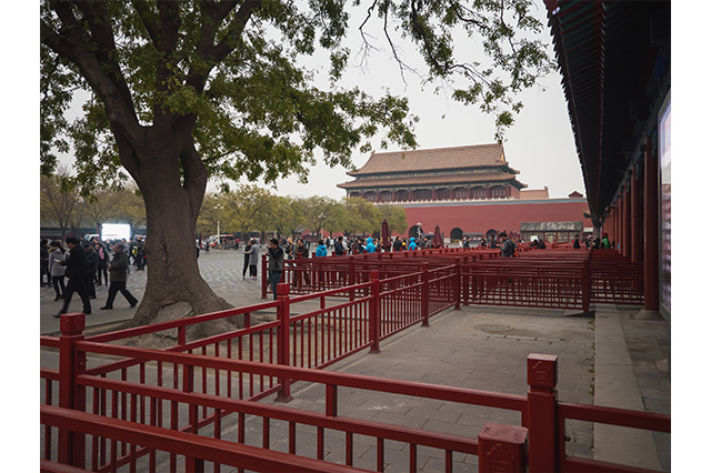 morning in the forbidden city Beijing