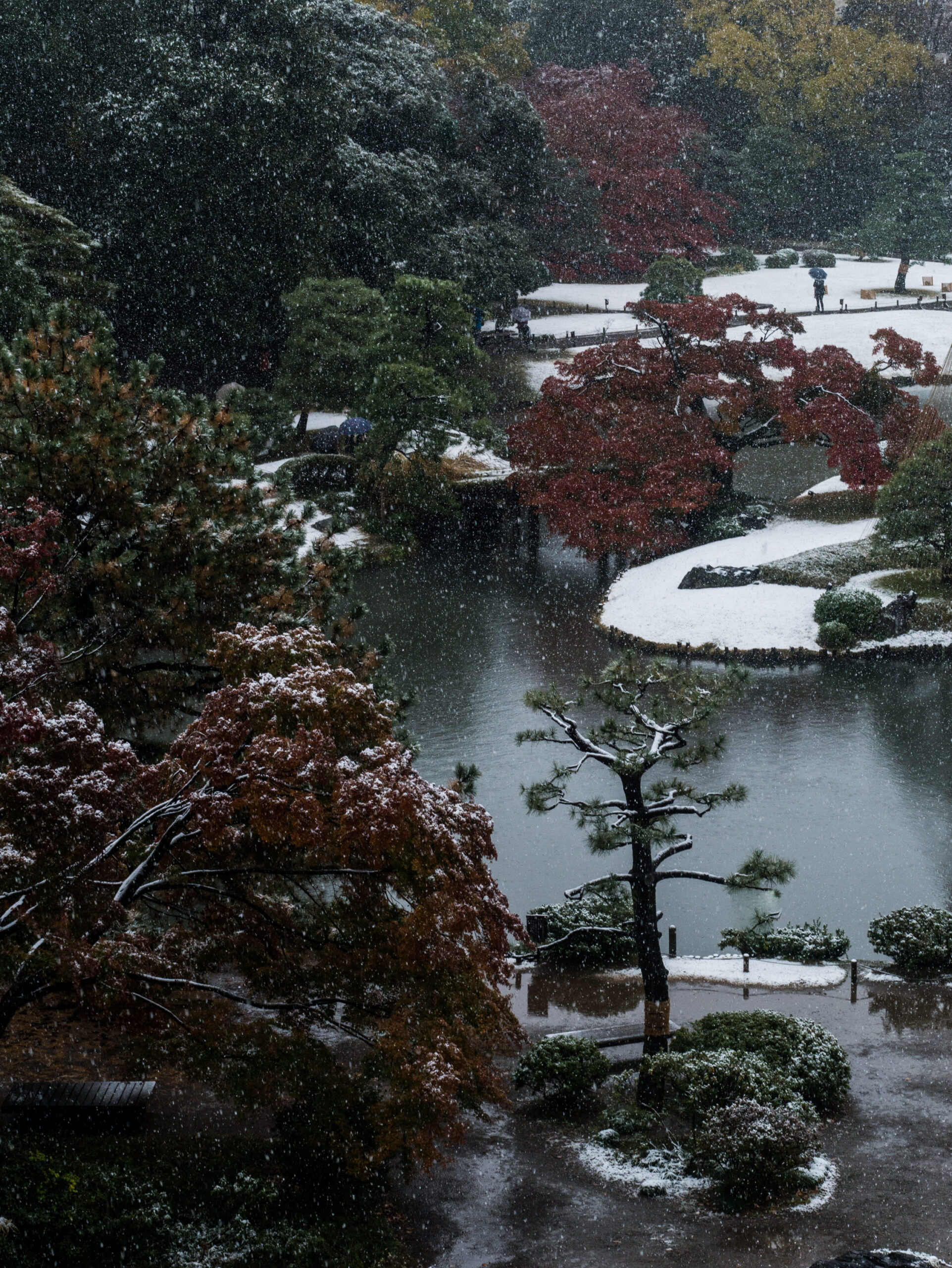 A Magical Morning at the Rikugi-en Garden