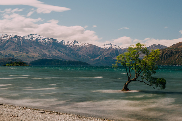 New Zealand in the summer