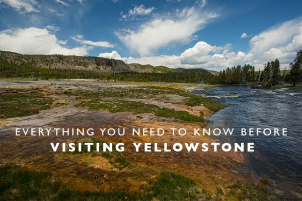 Everything You Need To Know Before Visiting Yellowstone