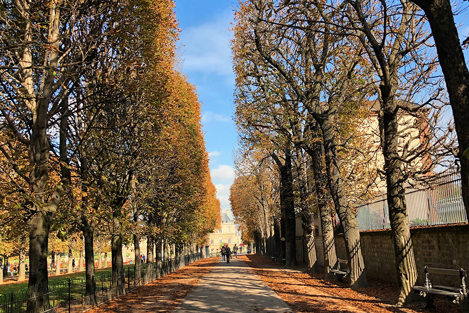 Jardin du Luxembourg in Autumn
