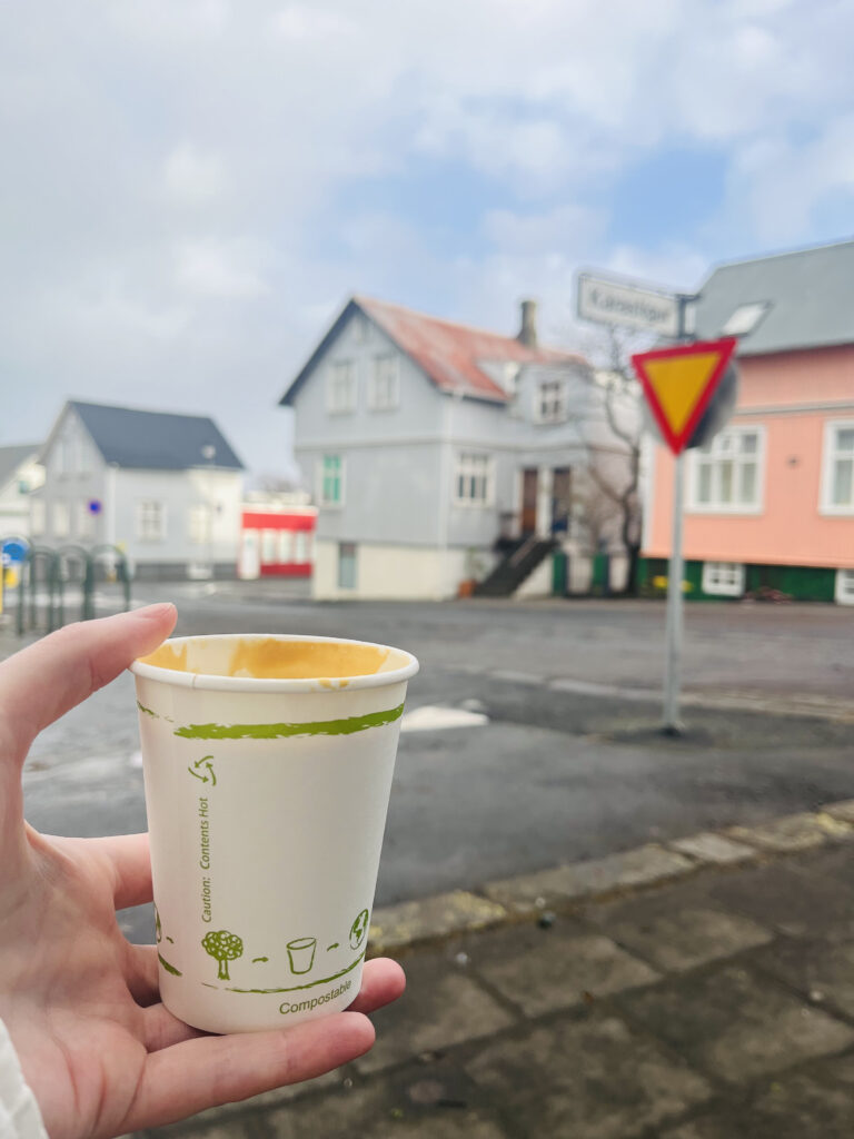 Reykjavik Favorites