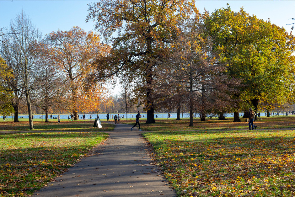 Autumn in London Hyde Park