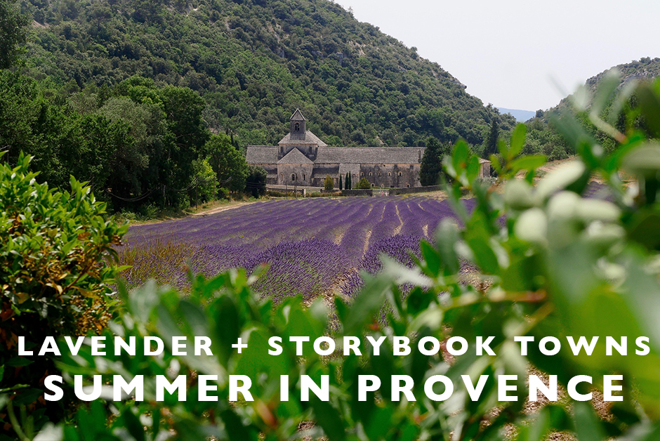 Summer in Provence lavender