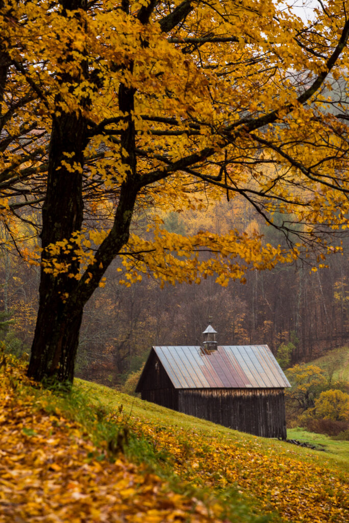 Your Ultimate Fall Travel List