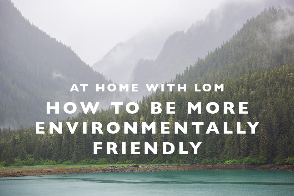 how to be more environmentally friendly at home