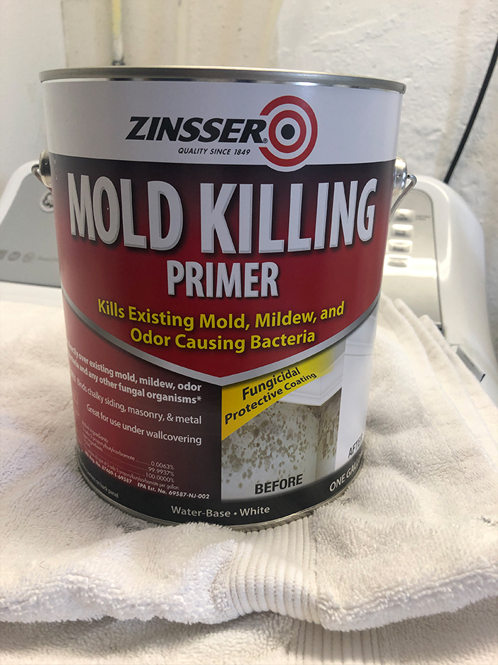 mold kiling primer on basement walls
