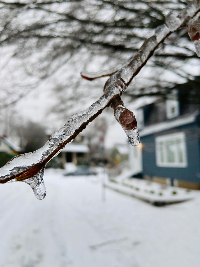 ice storm in Portland