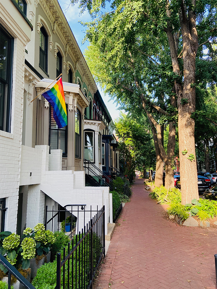 summer week in Logan Circle DC