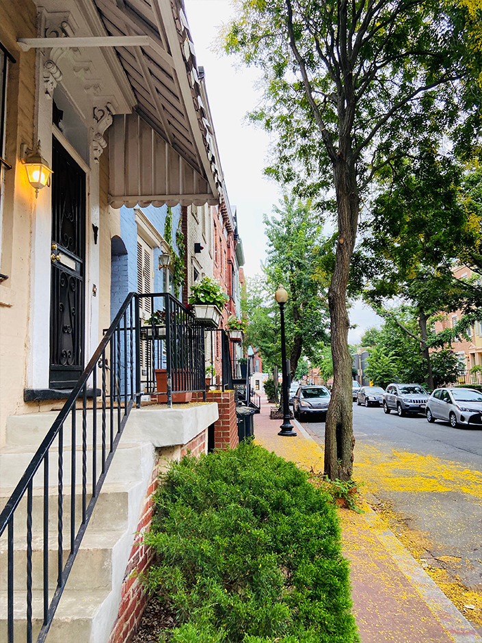 summer week in Logan Circle DC