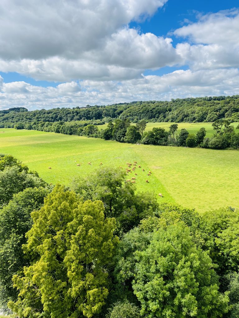 Must See Spots in Ireland countryside