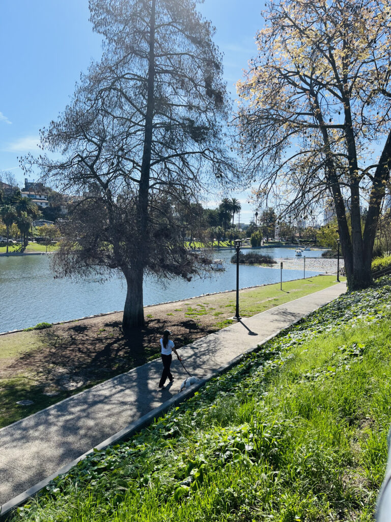 exploring Echo Park in LA