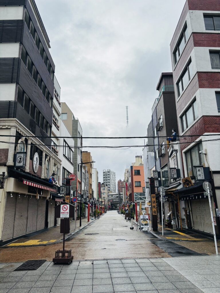 What You Need to Know Before Traveling to Japan